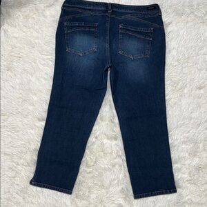 Size 12 / 31 Liverpool Dark Blue Ankle Jeans